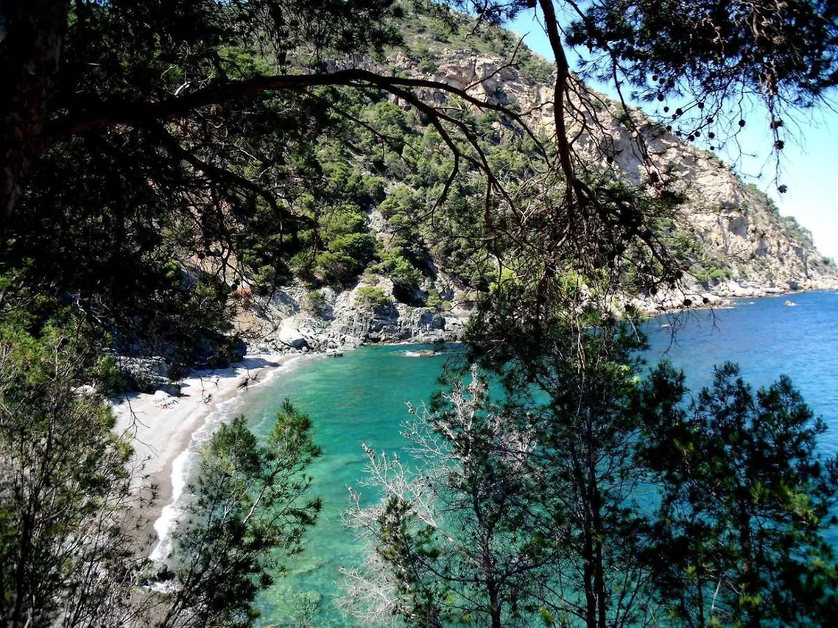 Lejlighed Trill Eolo Apartamento L'Estartit Spanien